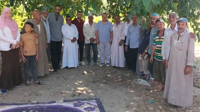 الزراعة تواجه آثار المناخ في الحقول.. قافلة إرشادية ببلطيم لحماية المانجو والنخيل ورفع الإنتاجية