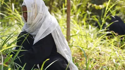 بعد سنوات الجفاف.. الأمطار تنعش محاصيل اليمن وتخفف أزمة المياه