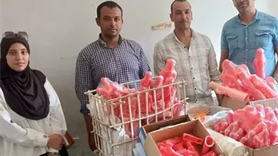 ضربة تموينية في أسيوط.. ضبط مصنع حلوى بدون ترخيص و142 مخالفة بالمخابز