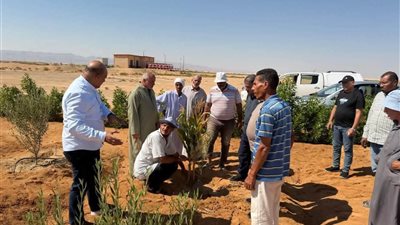 من تجمع النوافعة بسيناء.. انطلاق العام الرابع لمبادرة «اسأل واستشير قبل ما تدفع كتير»