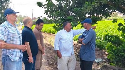 ضربات رقابية بالدقهلية.. كشف تلاعب في حصر مخالفات الأرز وإجراءات قانونية ضد المتورطين