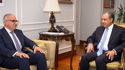 وزيرا الخارجية والري يبحثان توسيع المشروعات المصرية في دول حوض النيل