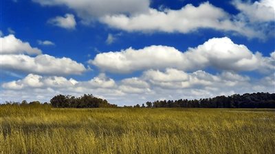 السحب الركامية في الصيف.. كيف تتكون ولماذا تظهر صباحًا وتختفي سريعًا؟