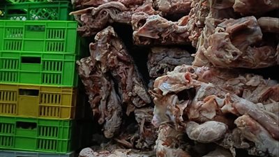 ضربة قوية لمافيا اللحوم.. ضبط 350 كجم لحوم فاسدة مذبوحة خارج المجازر بسوهاج