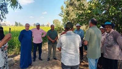 زراعة كفر الشيخ تنظم ندوة حقلية بـ 