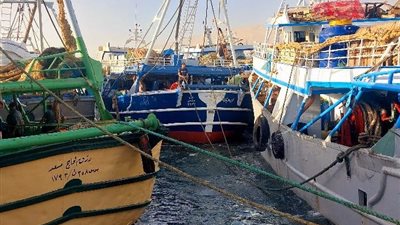 «حماية البحيرات» يعلن بدء موسم الصيد الجديد بخليج السويس من ميناء الأتكة