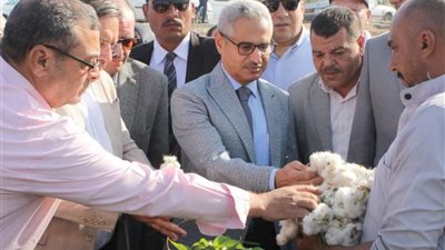 محافظ بنى سويف يفتتح موسم جَنى القطن