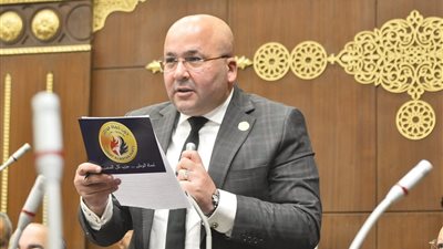 تخضير القاهرة.. نائب بالشيوخ: توجيهات السيسي تعزز الاستدامة وتحسن جودة حياة المواطنين