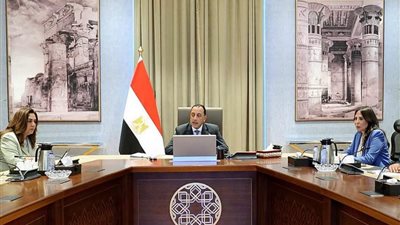 تخضير القاهرة يبدأ فورًا.. مدبولي يوجه بتشجير الدائري وتحويل الأراضي الفضاء إلى حدائق ومتنزهات