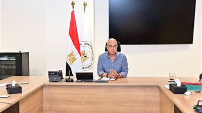 وزير الري : حماية الشواطئ المصرية أولوية وطنية لمواجهة التأثيرات السلبية