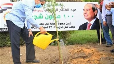 9900 موقع و6600 فدان.. تفاصيل خطة «100 مليون شجرة» لزيادة الرقعة الخضراء