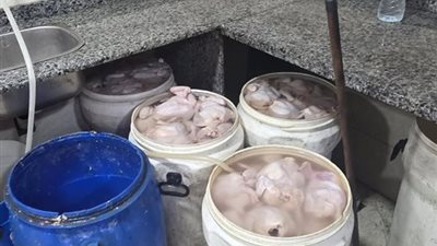 ضربة جديدة لتجار الأغذية الفاسدة.. ضبط 12.2 طن لحوم ومخلفات دواجن بالأسكندرية