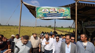 محافظ كفرالشيخ يشهد انطلاق موسم حصاد الأرز من حقول قرية المرابعين وسط فرحة المزارعين