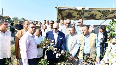 محافظ الفيوم يفتتح موسم جني محصول القطن