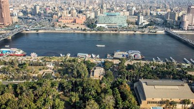الحكومة تبدأ تنفيذ خطة تخضير القاهرة والتوسع في زراعة الأشجار