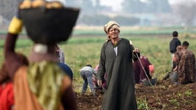  خبير اجتماعي يحذر من التنمر على الفلاحين وتحويل المهنة إلى وصمة اجتماعية