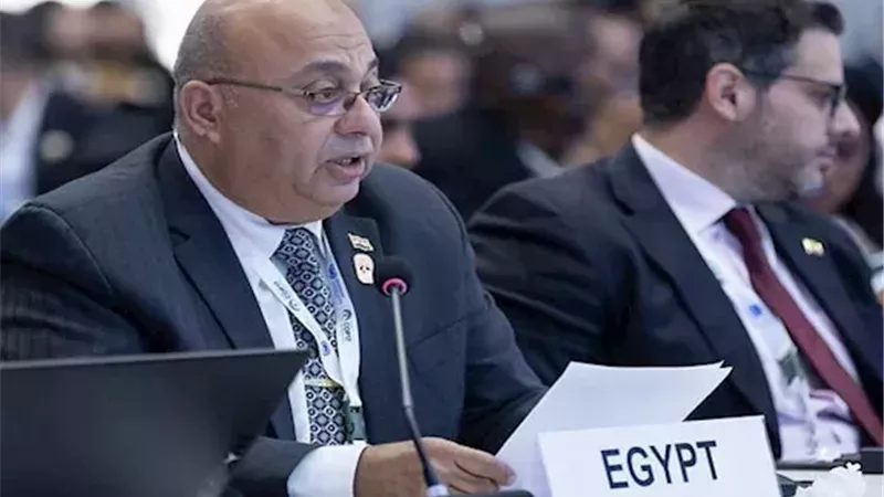 مصر تشارك في COP17