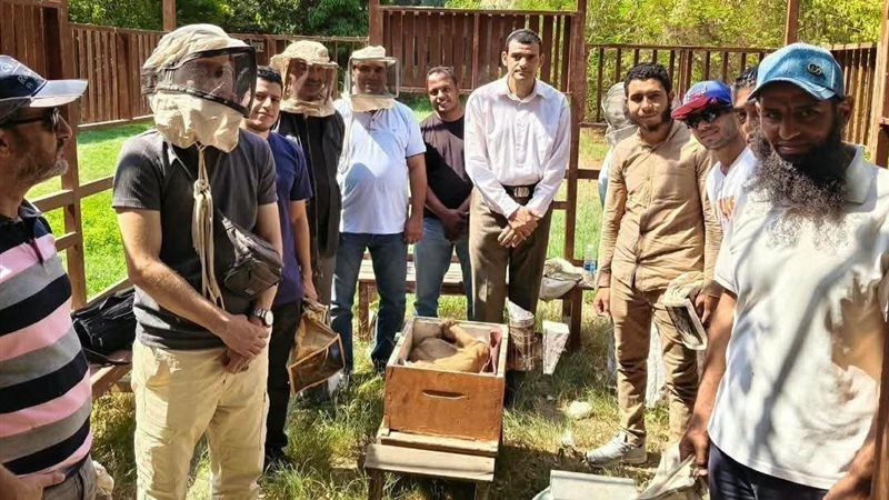 توجيهات وزارية لتطوير