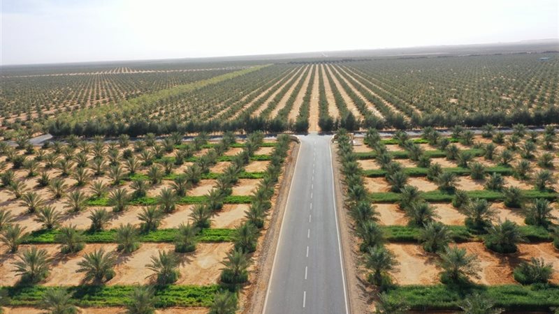 مشروع توشكى الزراعي