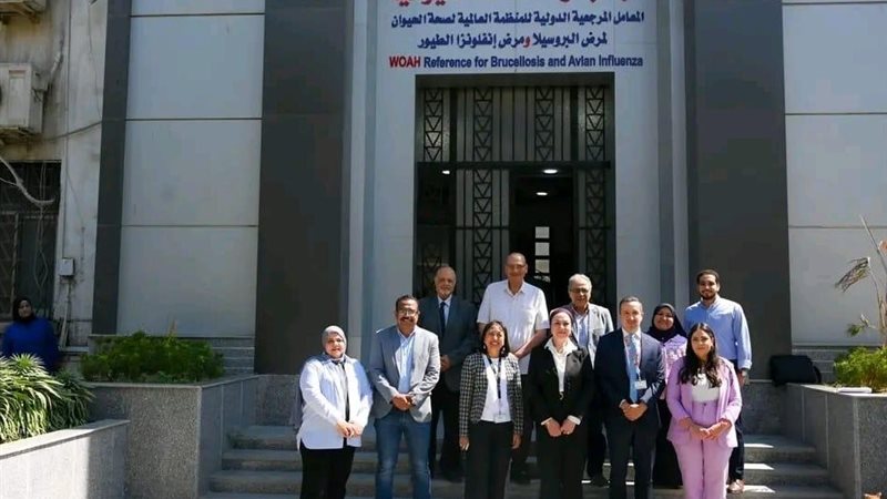 بحوث الصحة الحيوانية