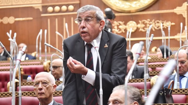 علاء عبد النبي