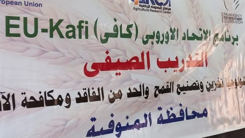مركز منوف
