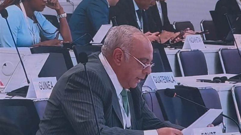 الدكتور حسام شوقي،
