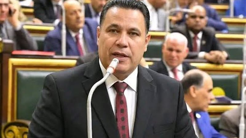 النائب عماد الغنيمي