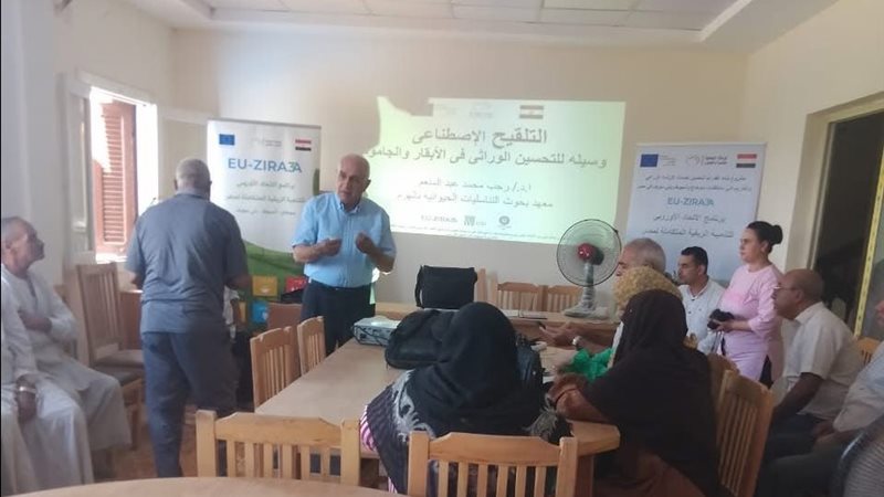 الإدارة المركزية