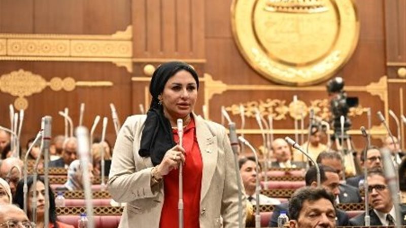 النائبة شيرين صبري