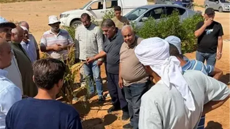 مبادرة اسأل واستشير