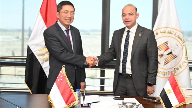 مصر وسنغافورة 