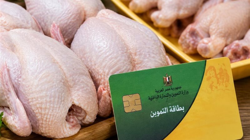 دواجن 