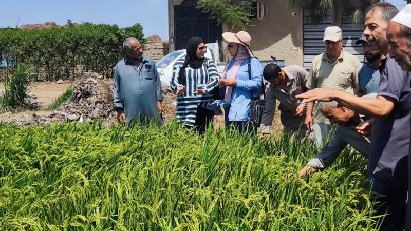 الزراعة بالدقهلية
