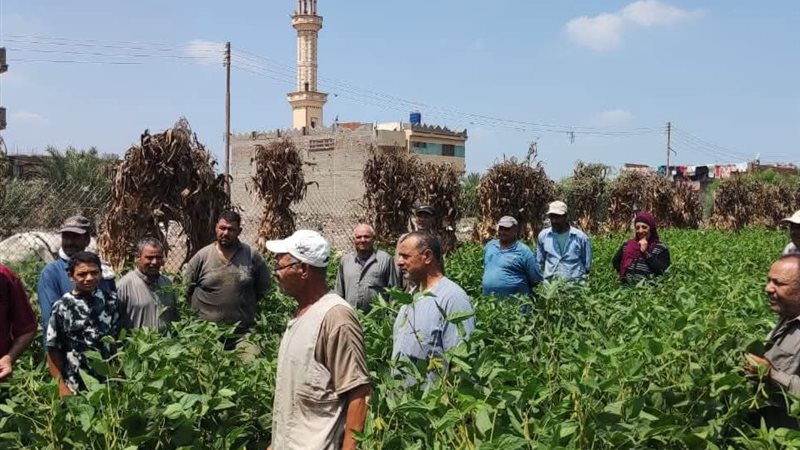 جانب من الندوة 