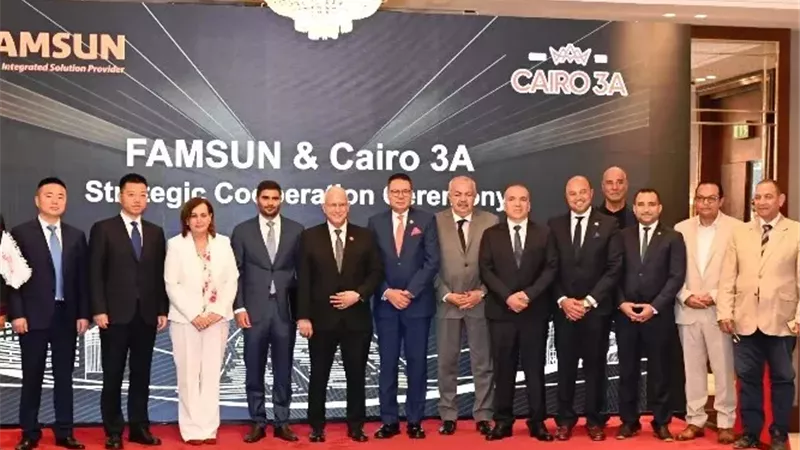 شراكة مصرية صينية