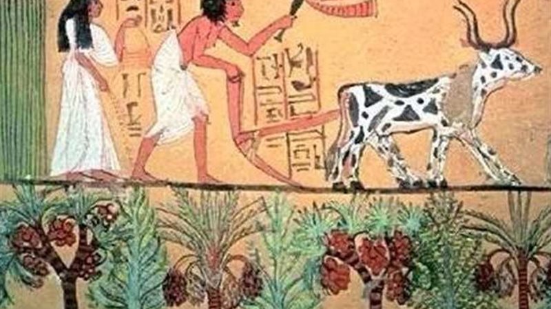 شهر توت عند المصريين