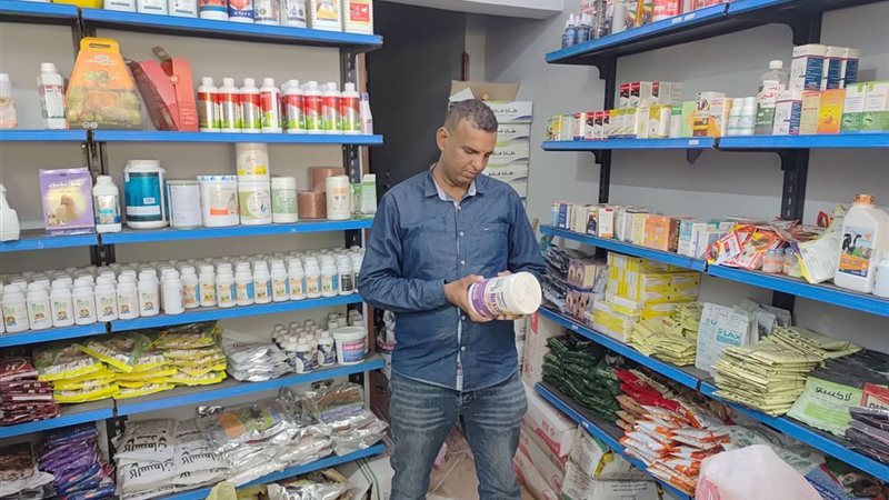 تموين الأقصر