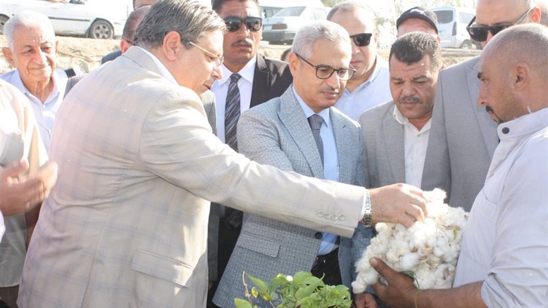 موسم جنى القطن