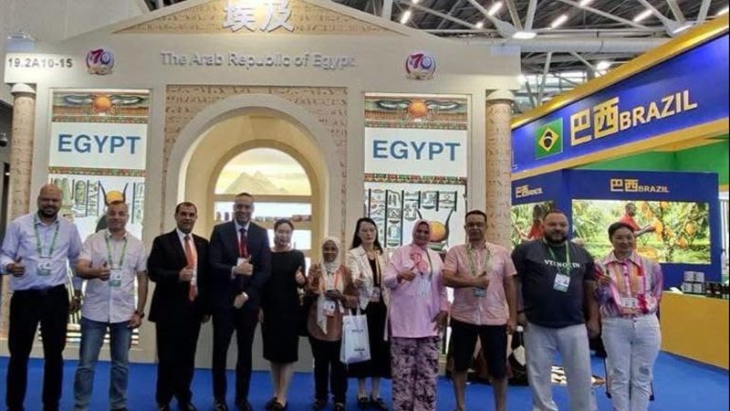 تنمية المشروعات