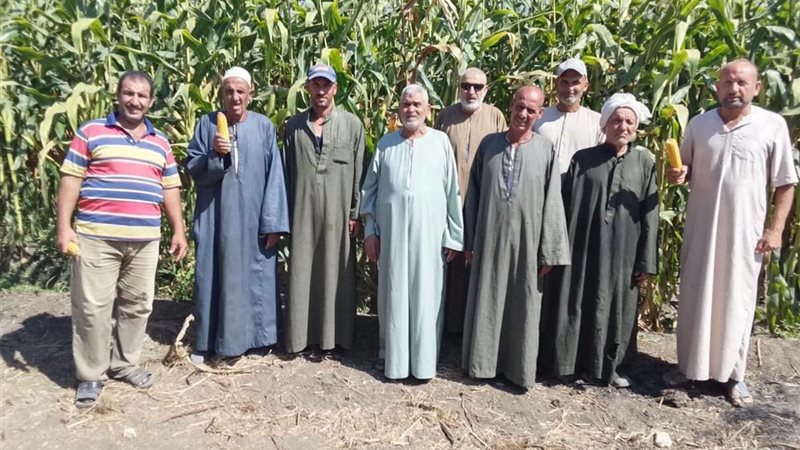 زراعة الغربية