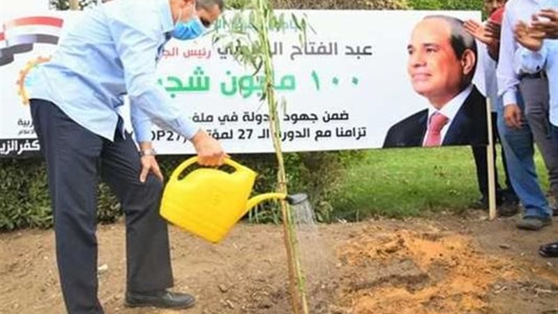 100 مليون شجرة