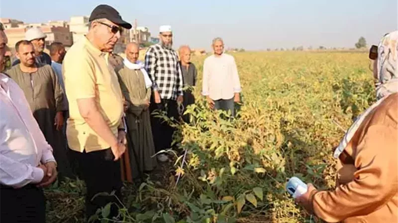 محافظ المنيا يشهد