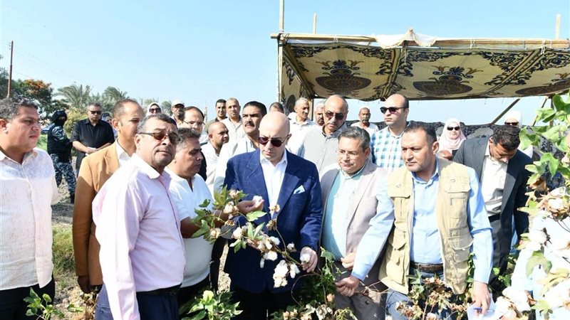 موسم جني القطن