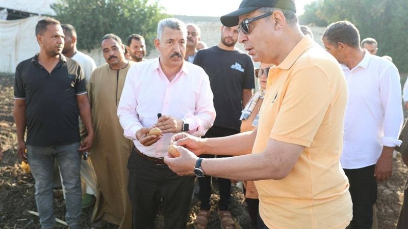 محافظ المنيا
