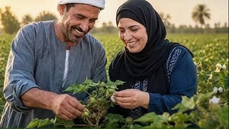 الزراعة 