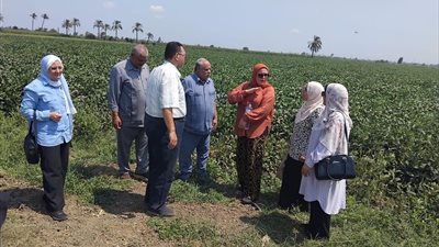الزراعة تكشف حصاد أغسطس لخدمة المزارعين.. 1245 حملة على محال المبيدات وصادرات زراعية تقترب من 6.9 مليون طن