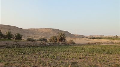 مداهمات أسوان تكشف تحول الري بالرش من زراعة الطماطم إلى معقل للسلاح والمخدرات والذهب