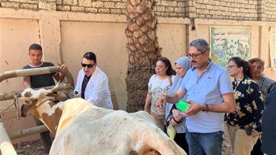 ورشة عمل بالمنيا لتعزيز مكافحة الأمراض المشتركة ورفع كفاءة فرق الطب البيطري