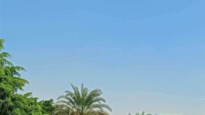 جهاز الشروق يُطلق خطة متكاملة لرفع أعداد الأشجار إلى 100 ألف وتطوير المسطحات الخضراء